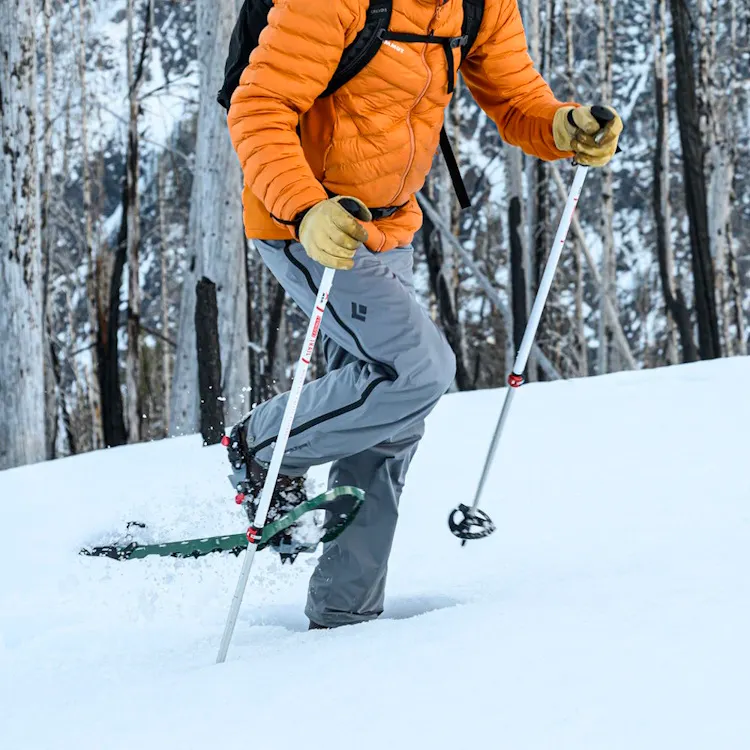 Snowshoe Rentals