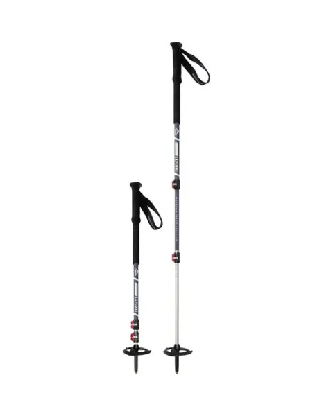 MSR Dynalock Explore Backcountry Poles (USED)