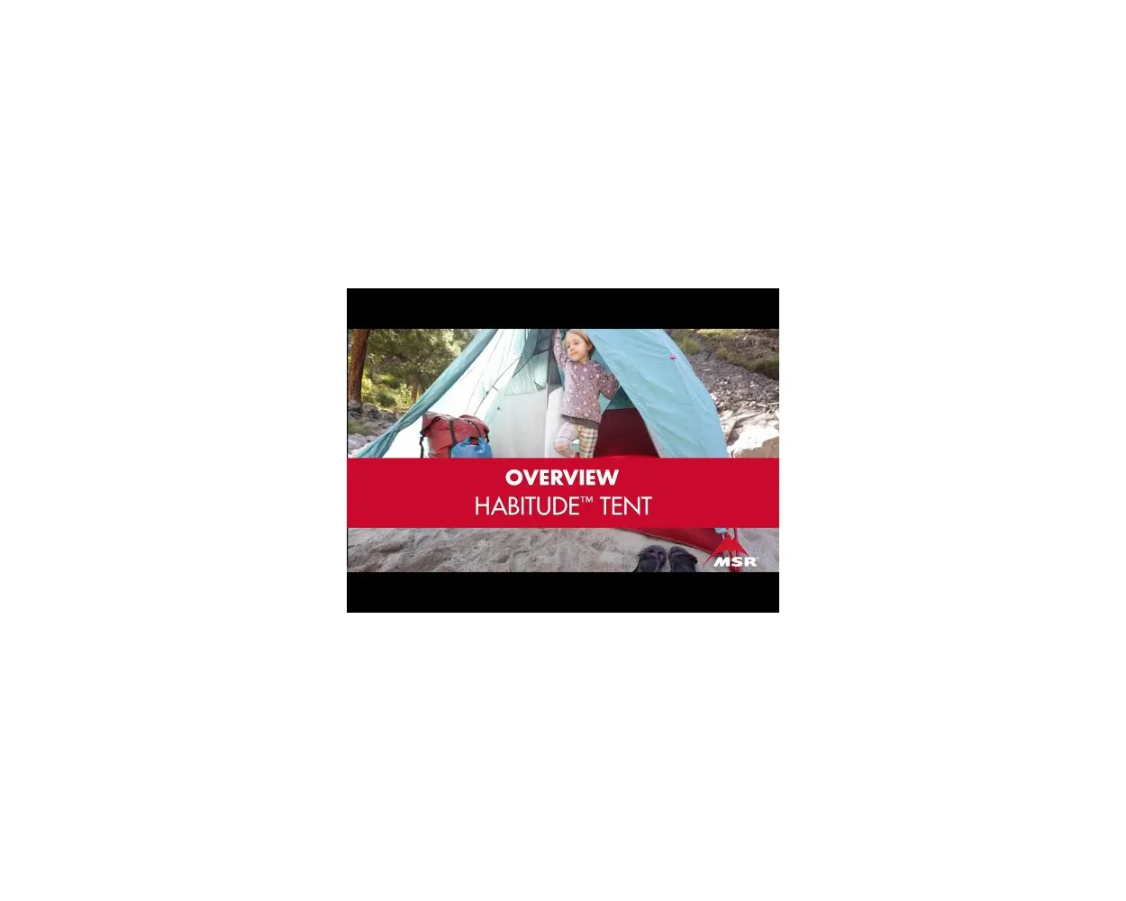 MSR Habitude 4-Person Tent | MTN Gear